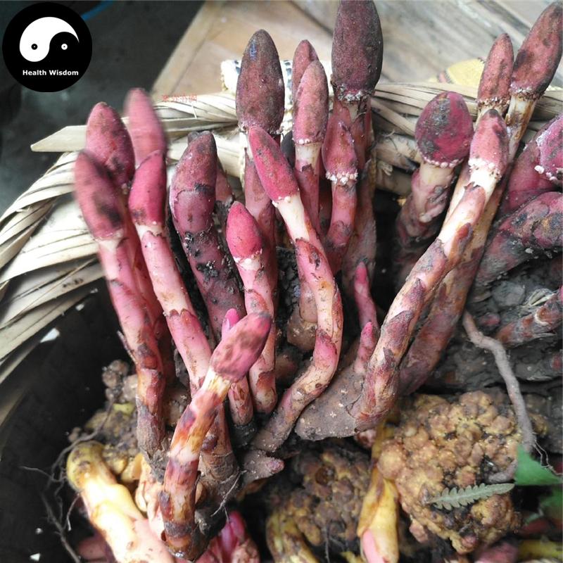 Lu Xian Cao 鹿仙草, Dioecious Balanophora Herb, Herba Balanophorae Dioicae, She Gu, Bu Shang Lian-Health Wisdom™