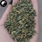 Luo Bu Ma Ye Cha 羅布麻葉, Dogbane Leaf Tea, Folium Apocyni Veneti-Health Wisdom™