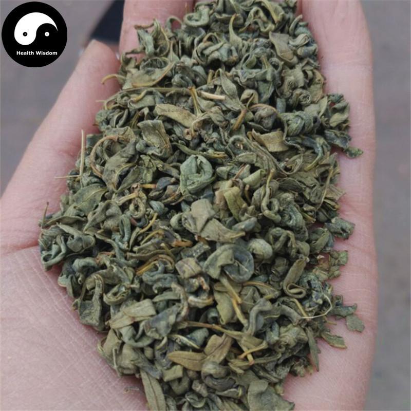 Luo Bu Ma Ye Cha 羅布麻葉, Dogbane Leaf Tea, Folium Apocyni Veneti-Health Wisdom™