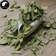 Luo Bu Ma Ye 羅布麻葉, Dogbane Leaf, Folium Apocyni Veneti-Health Wisdom™