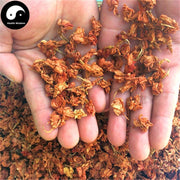Luo Han Guo Hua 羅漢果花, Flos Grosvener Siraitia, Momordicae Flower-Health Wisdom™