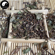 Luo Shi Teng 絡石藤, Caulis Trachelospermi, Chinese Starjasmine Stem-Health Wisdom™