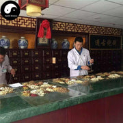 Luo Tuo Peng Zi 骆驼蓬子, Syrian Rue, Seed Of Common Peganum, Peganum Harmala L.-Health Wisdom™