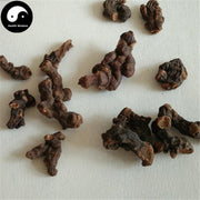 Luo Xin Fu 落新妇, Astilbe Chinensis Root, Radix Astilbe, Hong Sheng Ma, Hu Ma-Health Wisdom™