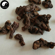 Luo Xin Fu 落新妇, Astilbe Chinensis Root, Radix Astilbe, Hong Sheng Ma, Hu Ma-Health Wisdom™