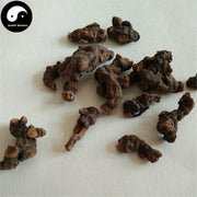 Luo Xin Fu 落新妇, Astilbe Chinensis Root, Radix Astilbe, Hong Sheng Ma, Hu Ma-Health Wisdom™