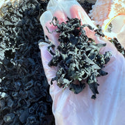 Luo Xuan Zao 螺旋藻, Dried Sea Food Spirulina, Spirulina platensis-Health Wisdom™