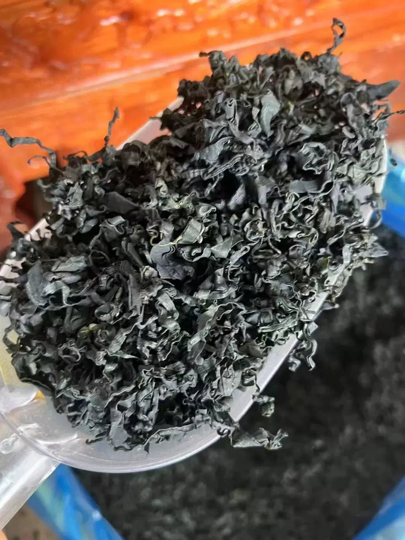 Luo Xuan Zao 螺旋藻, Dried Sea Food Spirulina, Spirulina platensis-Health Wisdom™