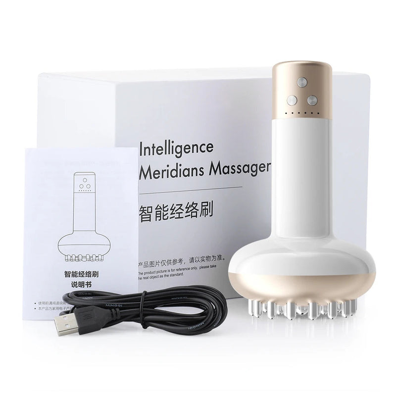 Lymphatic Drainage Machine Meridian Massage Brush Microcurrent Anti Cellulite Guasha Physiotherapy Apparatus Beauty Health-Health Wisdom™
