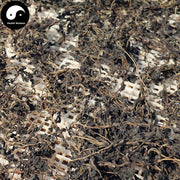 Ma Chi Xian 馬齒莧, Herba Portulacae, Parslane Herb, Chang Shou Cai-Health Wisdom™