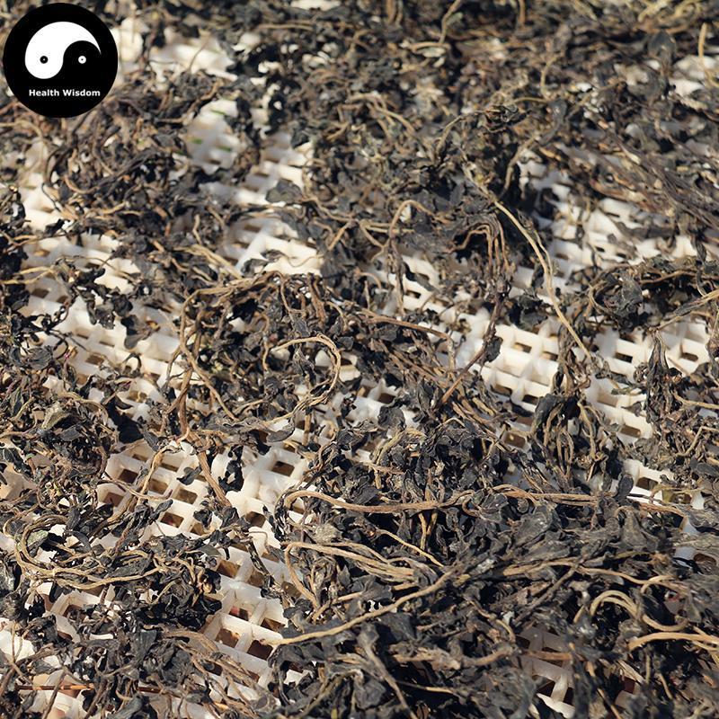 Ma Chi Xian 馬齒莧, Herba Portulacae, Parslane Herb, Chang Shou Cai-Health Wisdom™