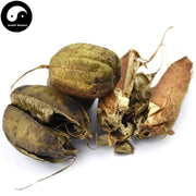 Ma Dou Ling 馬兜鈴, Fructus Aristolochiae, Dutchmanspipe Fruit-Health Wisdom™