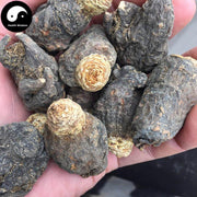 Ma Ka 玛卡, Black Maca Root, Radix Lepidium Meyenii Walp-Health Wisdom™