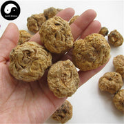 Ma Ka 玛卡, Yellow Maca Root, Radix Lepidium Meyenii Walp-Health Wisdom™