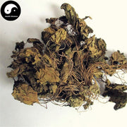 Ma Ti Xi Xin 马蹄细辛, Herba Asarum Insigne, Jin Er Huan Cao, Yi Kuai Wa-Health Wisdom™