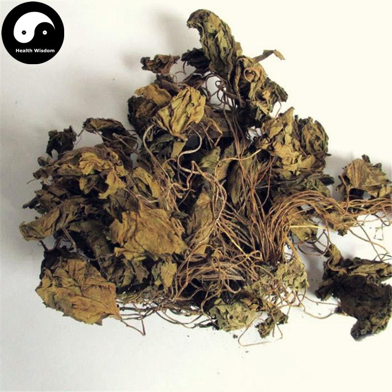 Ma Ti Xi Xin 马蹄细辛, Herba Asarum Insigne, Jin Er Huan Cao, Yi Kuai Wa-Health Wisdom™