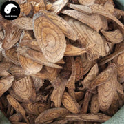 Mai Ma Teng 买麻藤, Gnetum Parvifolium Stem, Wu Gu Feng, Ma Gu Feng-Health Wisdom™