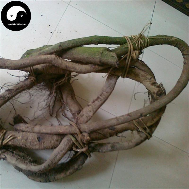 Mai Ma Teng 买麻藤, Gnetum Parvifolium Stem, Wu Gu Feng, Ma Gu Feng-Health Wisdom™