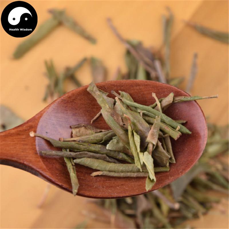 Man Shan Hong 滿山紅, Folium Rhododendri Dahurici, Dahurian Rhododendron Leaf-Health Wisdom™