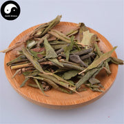 Man Shan Hong 滿山紅, Folium Rhododendri Dahurici, Dahurian Rhododendron Leaf-Health Wisdom™