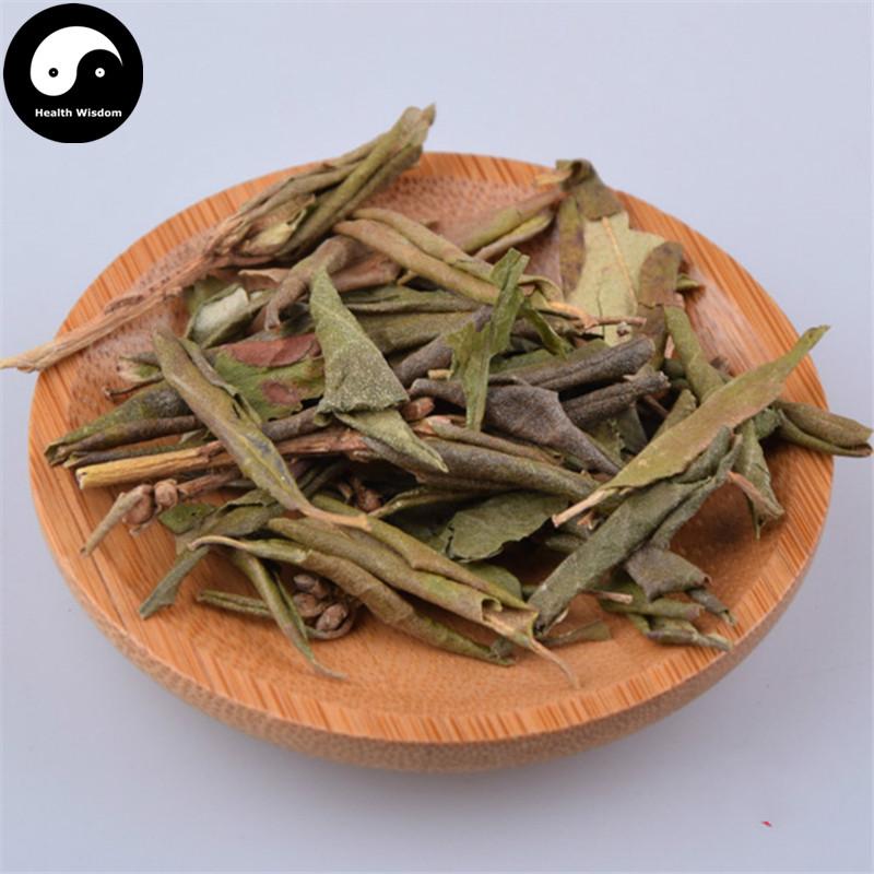 Man Shan Hong 滿山紅, Folium Rhododendri Dahurici, Dahurian Rhododendron Leaf-Health Wisdom™