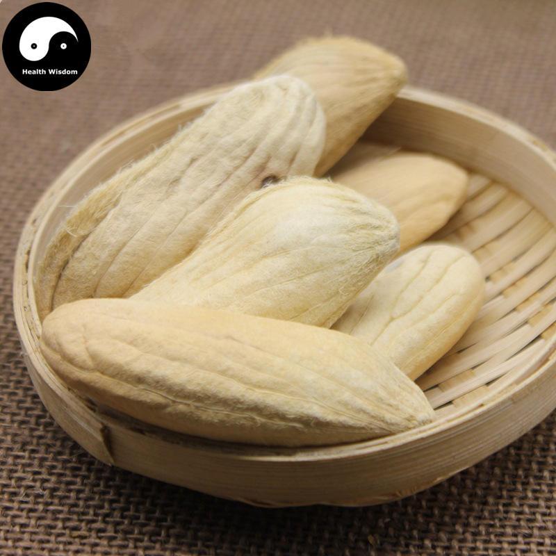 Mang Guo He 芒果核, Semen Mangiferae Indicae, Mango Seed-Health Wisdom™