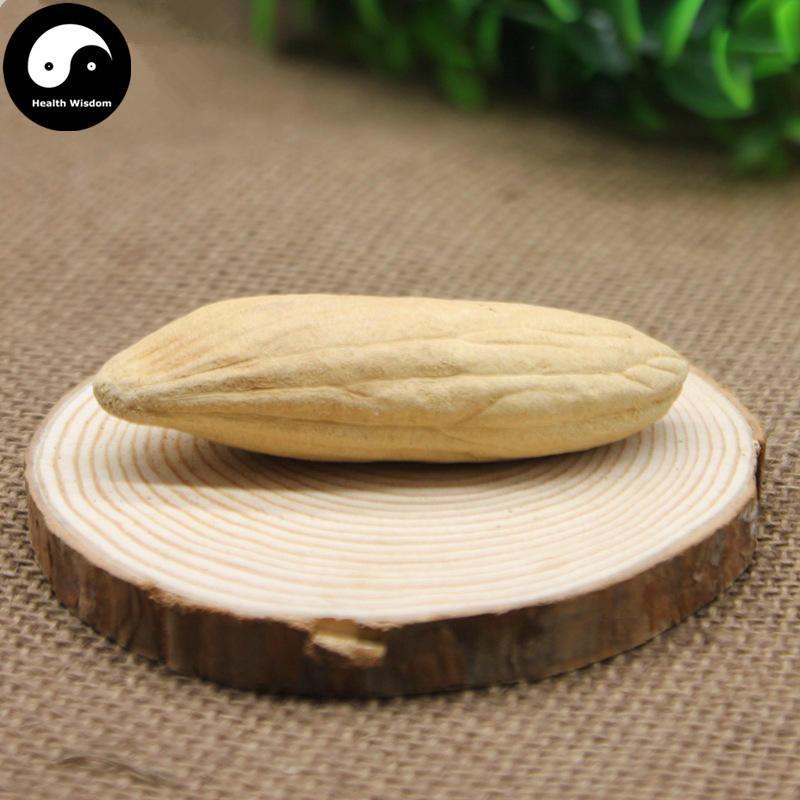 Mang Guo He 芒果核, Semen Mangiferae Indicae, Mango Seed-Health Wisdom™