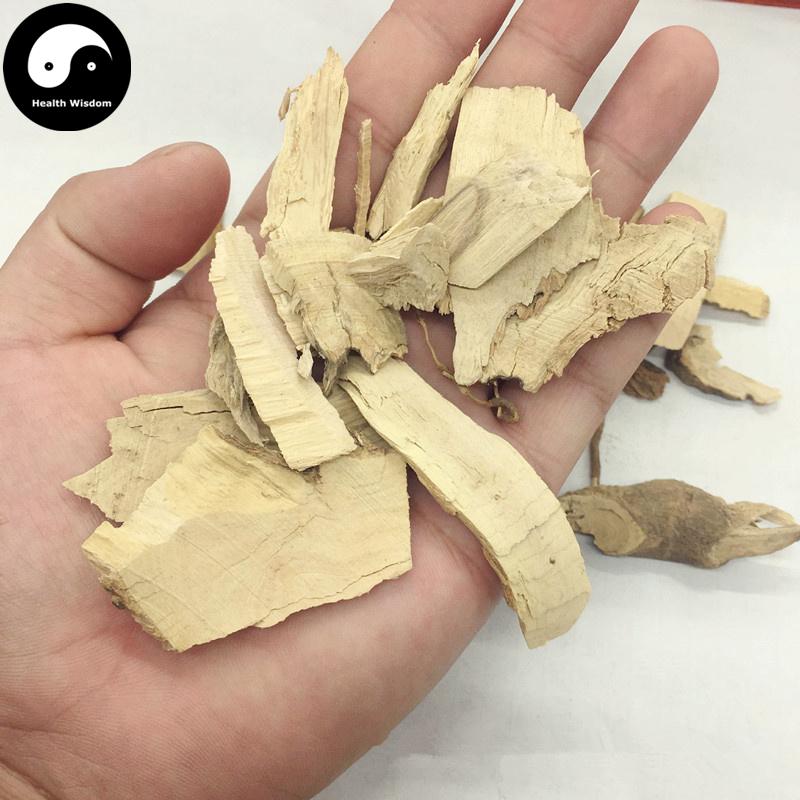 Mao Dong Qing 毛冬青, Pubescent Holly Root, Radix Ilicis Pubescentis-Health Wisdom™