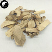 Mao Dong Qing 毛冬青, Pubescent Holly Root, Radix Ilicis Pubescentis-Health Wisdom™