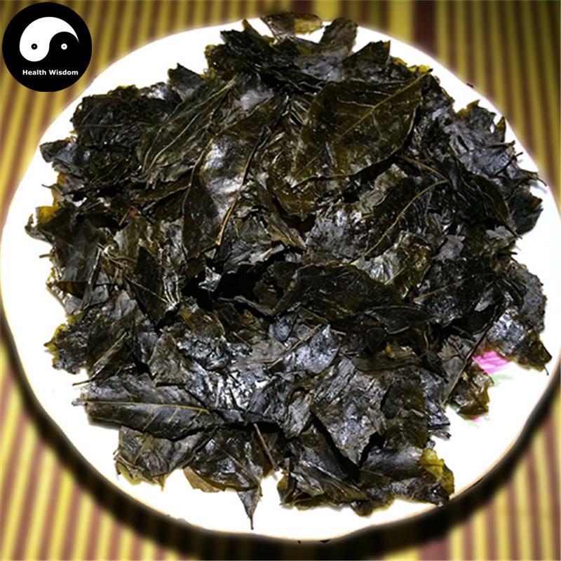 Mao Dong Qing 毛冬青葉, Folium Pubescent Holly, Ilicis Pubescentis Leaf-Health Wisdom™