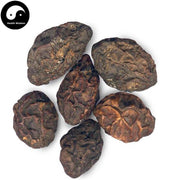 Mao He Zi Rou 毛訶子, Fructus Terminaliae Billericae-Health Wisdom™