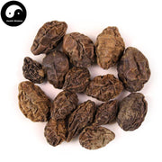 Mao He Zi Rou 毛訶子, Fructus Terminaliae Billericae-Health Wisdom™