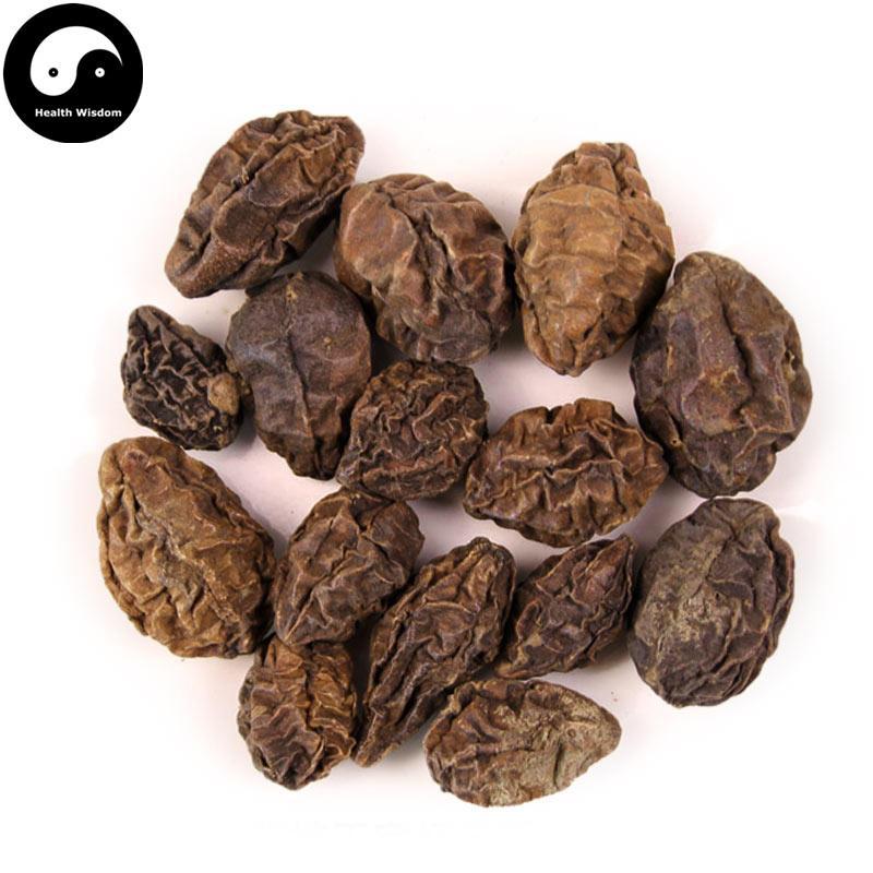 Mao He Zi Rou 毛訶子, Fructus Terminaliae Billericae-Health Wisdom™