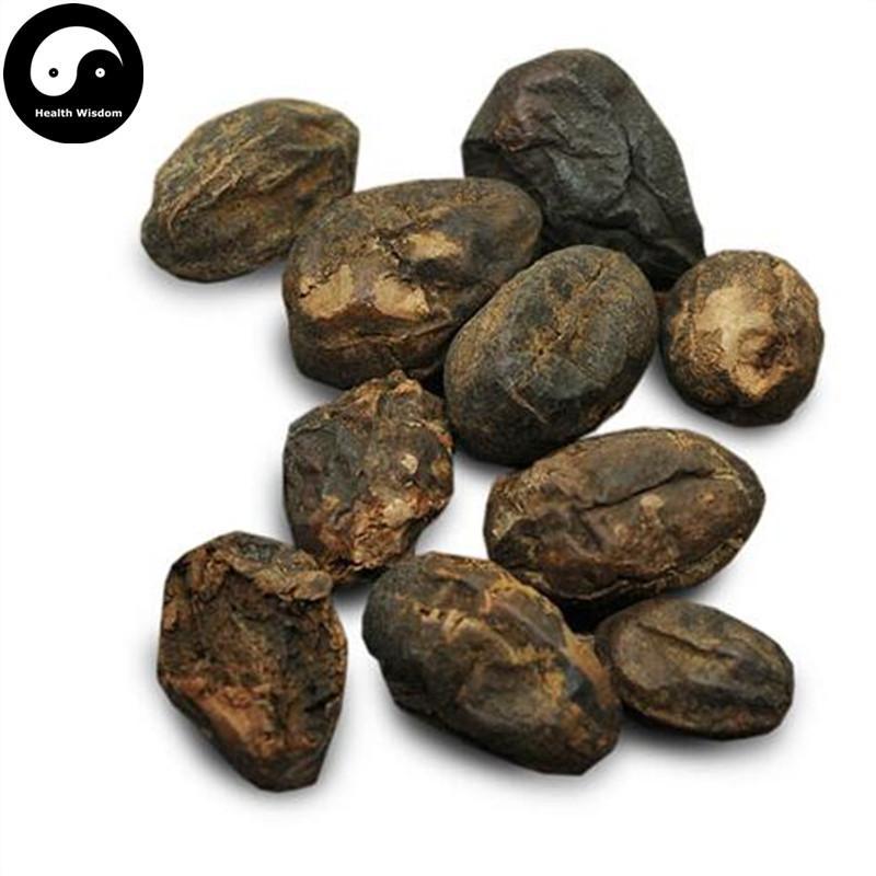 Mao He Zi Rou 毛訶子, Fructus Terminaliae Billericae-Health Wisdom™