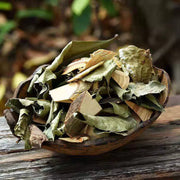 Mei Deng Mu 美登木, Yunnan Hooker Mayten, Maytenus Hookeri-Health Wisdom™