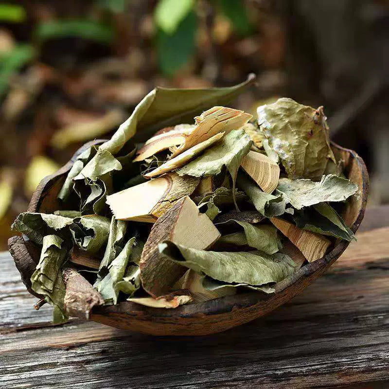 Mei Deng Mu 美登木, Yunnan Hooker Mayten, Maytenus Hookeri-Health Wisdom™