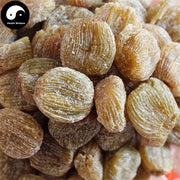 Mi Zao 蜜枣, Honey Zao, Fructus Jujubae, Chinese Sweet Date-Health Wisdom™