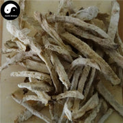 Mian Bi Xie 绵萆薢, Hypoglaucous Collett Yam Rhizome, Rhizoma Dioscoreae Hypoglaucae-Health Wisdom™