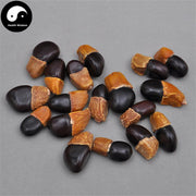 Mian Qie 缅茄, Pahudia Xylocarpa Kurz-Health Wisdom™