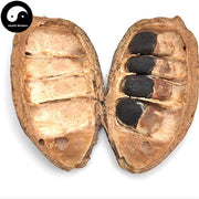Mian Qie 缅茄, Pahudia Xylocarpa Kurz-Health Wisdom™