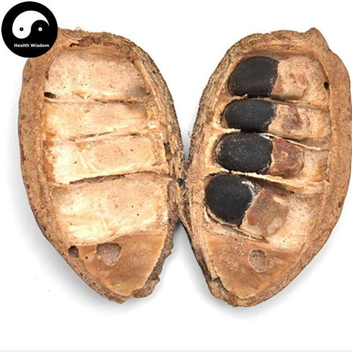 Mian Qie 缅茄, Pahudia Xylocarpa Kurz-Health Wisdom™