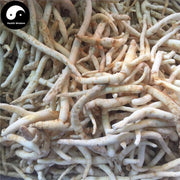 Ming Dang Shen 明黨參, Medicinal Changium Root, Radix Changii, Ming Sha Shen-Health Wisdom™