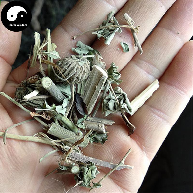 Mo Pan Cao 磨盤草, Herba Abutilon Indicum-Health Wisdom™