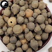 Mo Shi Zi 没食子, Quercus Infectoria Oliv, Oak Gall-Health Wisdom™