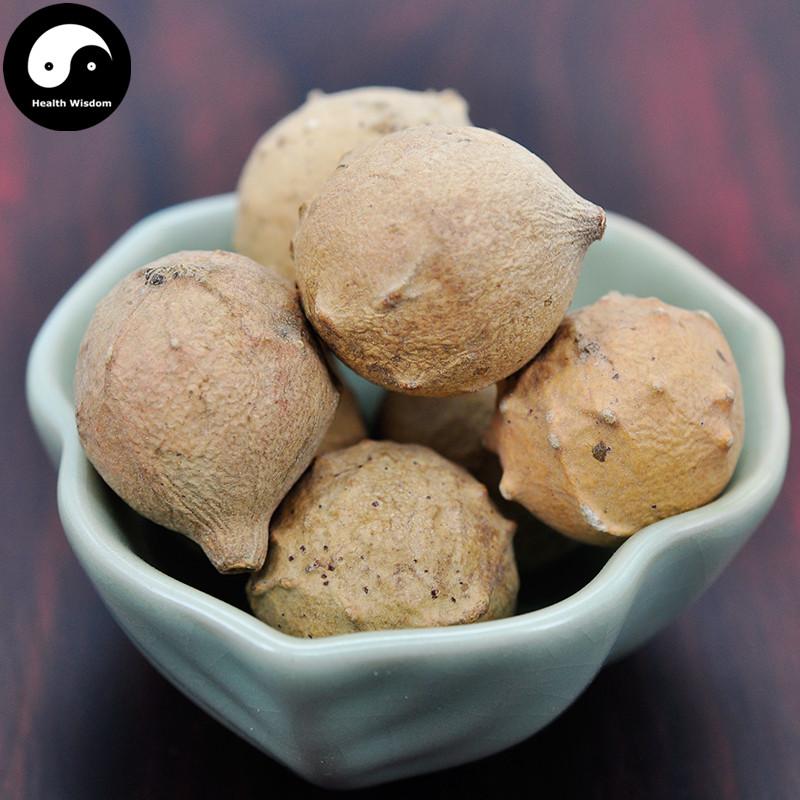 Mo Shi Zi 没食子, Quercus Infectoria Oliv, Oak Gall-Health Wisdom™