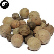 Mo Shi Zi 没食子, Quercus Infectoria Oliv, Oak Gall-Health Wisdom™