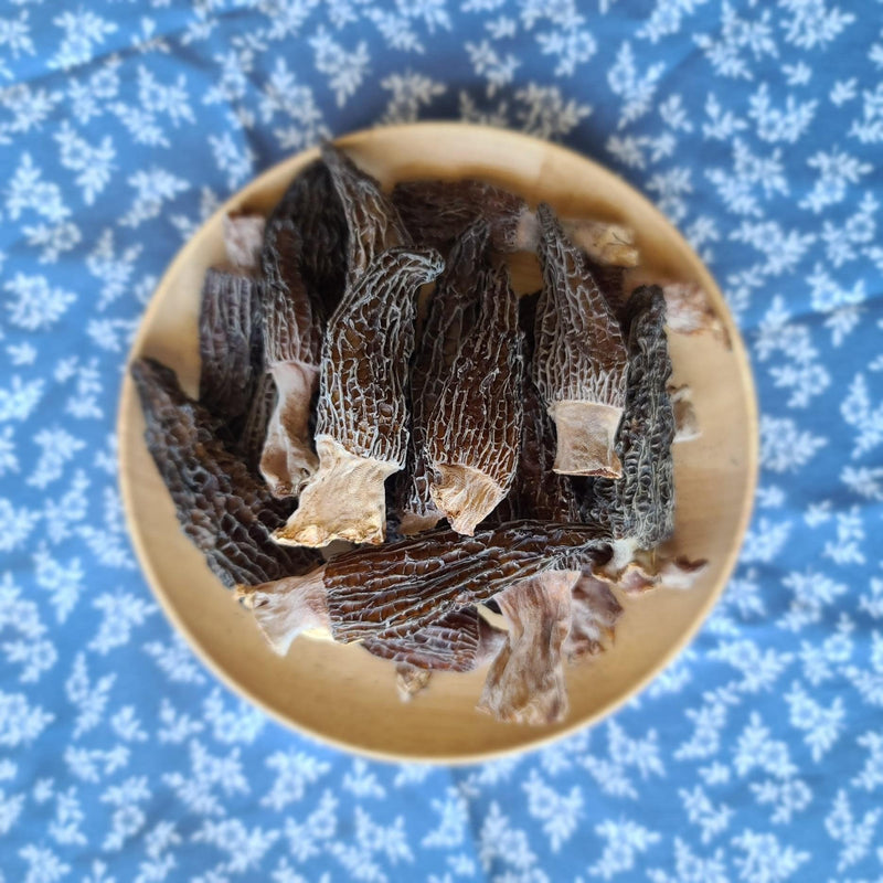 Morchella Vulgaris Mushroom, Chinese Rare Morels, Yang Du Jun 羊肚菌-Health Wisdom™