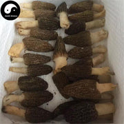 Morchella Vulgaris Mushroom, Chinese Rare Morels, Yang Du Jun 羊肚菌-Health Wisdom™