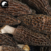 Morchella Vulgaris Mushroom, Chinese Rare Morels, Yang Du Jun 羊肚菌-Health Wisdom™