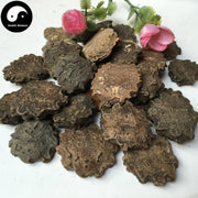 Mu Bie Zi 木鱉子, Semen Momordicae, Cochinchina Momordica Seed-Health Wisdom™